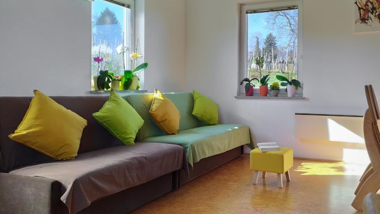 Apartments Vinska Trta كاتيز أوب سافي المظهر الخارجي الصورة